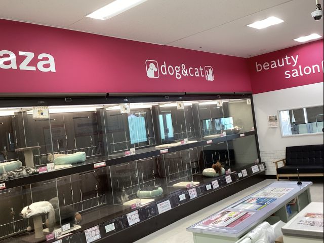 ペットプラザ松戸五香店